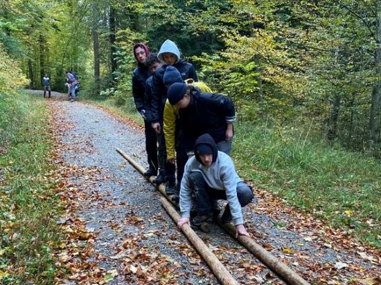 Bild